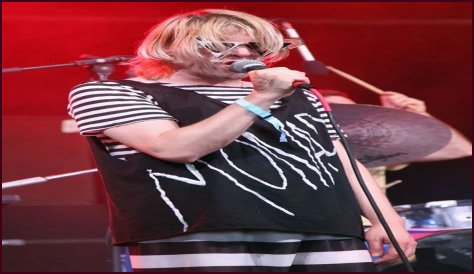 Ariel Pink Net Worth