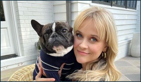 Chris Witherspoon Net Worth